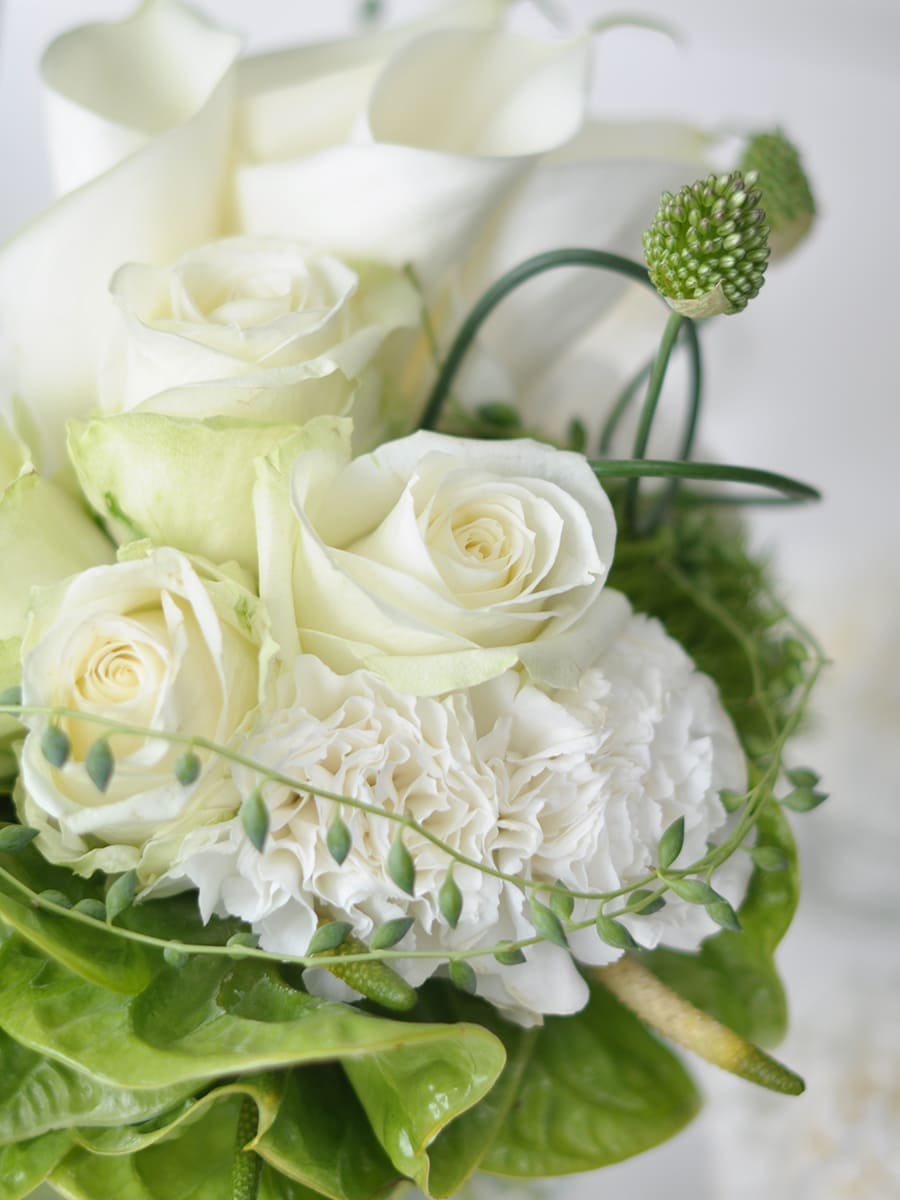 フレッシュフラワークラス 画像4